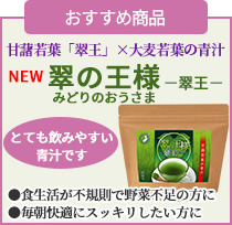 おすすめ商品