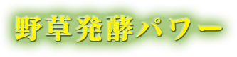 野草発酵パワー