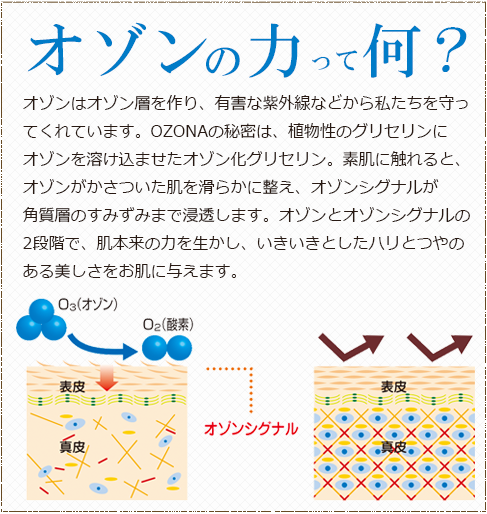 オゾンの力って何?