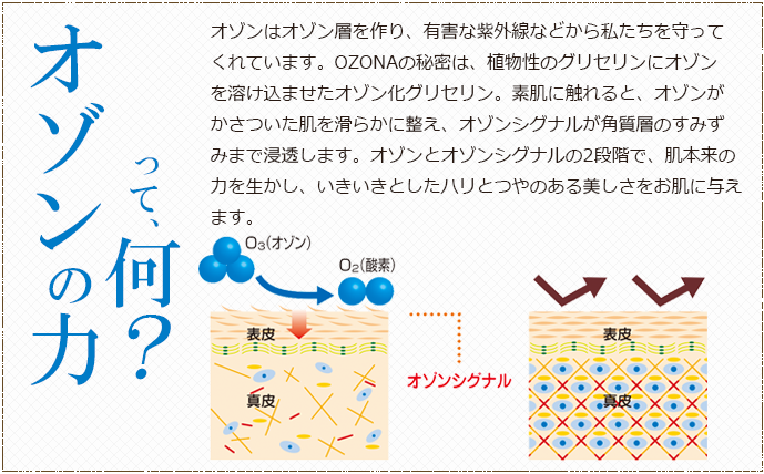 オゾンの力って何?